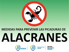 Medidas para prevenir las picaduras de alacranes